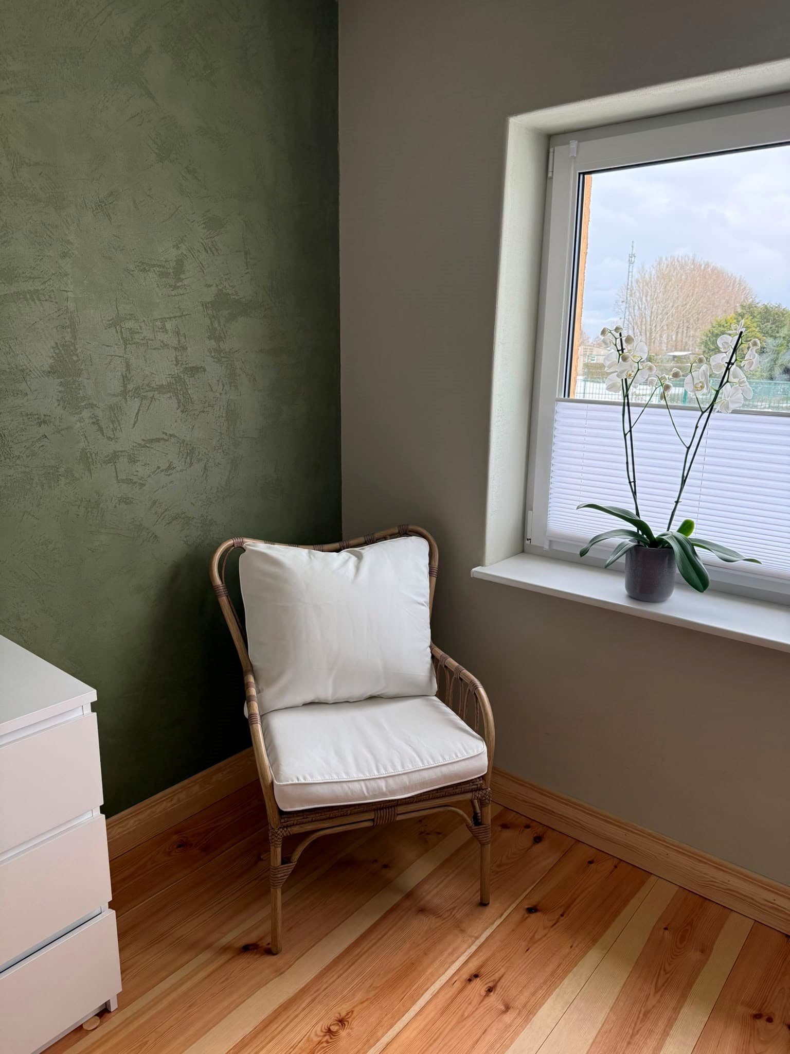 Gemütliche Leseecke mit Rattansessel vor grüner Lehmputz-Wand und Naturlicht